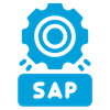 Curso SAP en España
