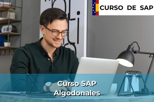 Curso SAP en Andalucía 288 Curso SAP en Algodonales