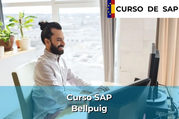 Curso SAP en Cataluña 46 Curso SAP en Bellpuig