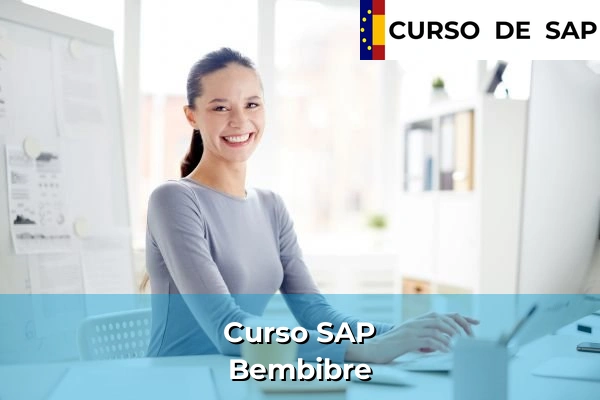 Curso SAP en Castilla y León 70 Curso SAP en Bembibre