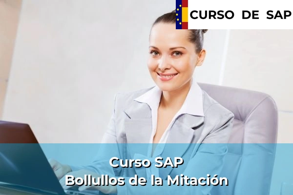Curso SAP en Andalucía 55 Curso SAP en Bollullos de la Mitación