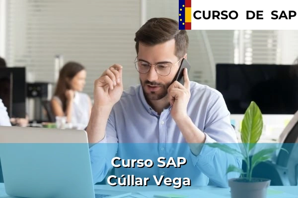 Curso SAP en Andalucía 194 Curso SAP en Cúllar Vega