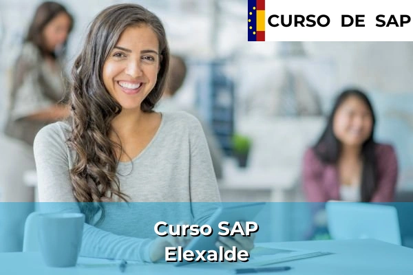 Curso SAP en País Vasco 43 Curso SAP en Elexalde
