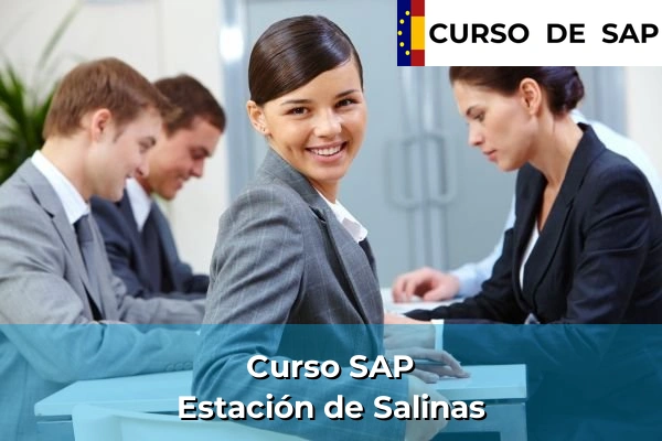 Curso SAP en Andalucía 86 Curso SAP en Estación de Salinas