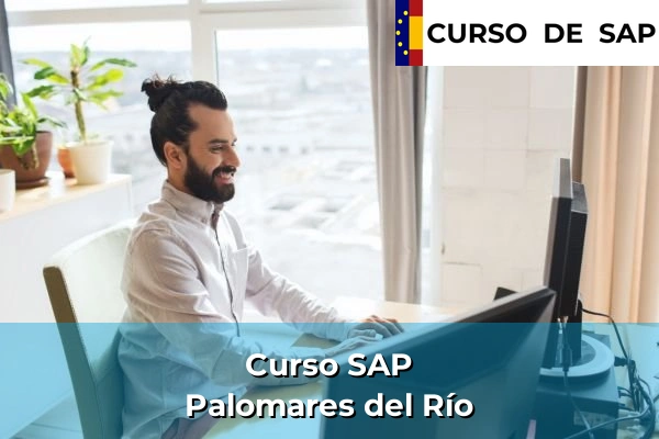 Curso SAP en Andalucía 17 Curso SAP en Palomares del Río