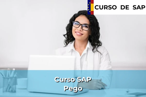 Curso SAP en Pego