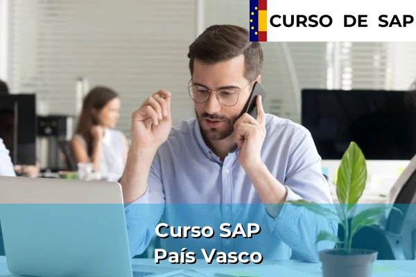 Curso SAP 20 Curso SAP en País Vasco