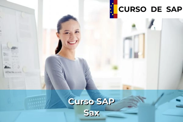 Curso SAP en Sax