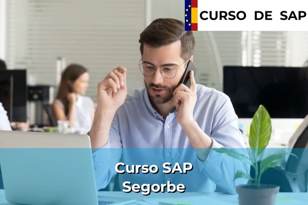 Curso SAP en Segorbe