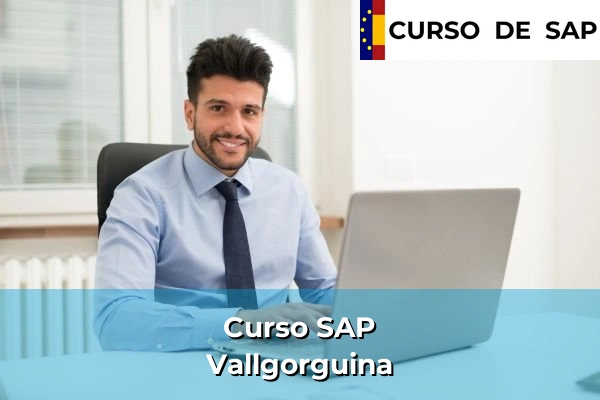 Curso SAP en Cataluña 94 Curso SAP en Vallgorguina