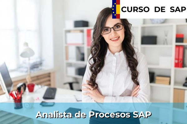 Curso SAP 26 Analista de Procesos SAP