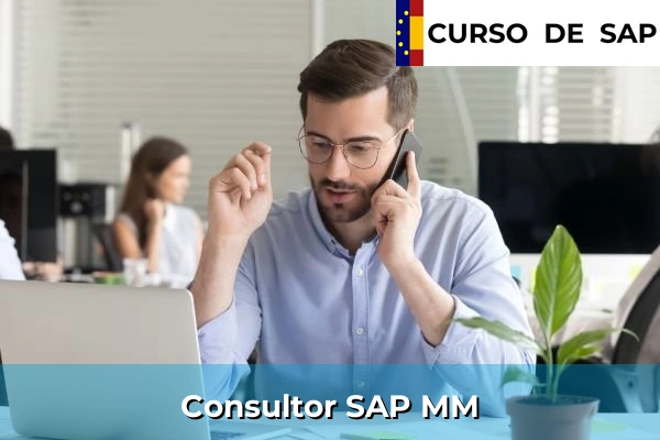 Curso SAP 41 Consultor SAP MM